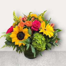 ED22 Sunshine and Roses