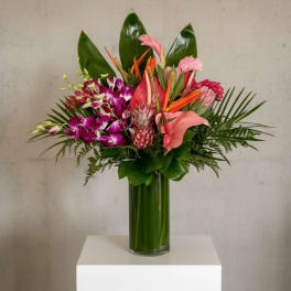 Tropical "Princess Moana"