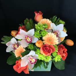 Rose cymbidium cube with orchids