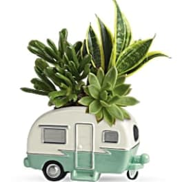 Succulent arrangement in a small camper-shaped planter