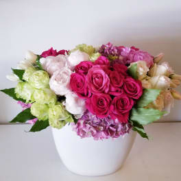 Pink and white roses arranged in a white vase
