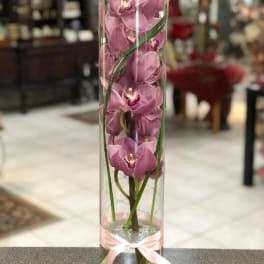 Tall glass cylinder with pink orchids and a pink ribbon