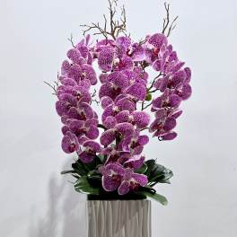 Purple orchids arranged in a white square vase