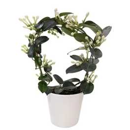 STEPHANOTIS IN CERAMIC