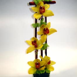 Tall arrangement of yellow orchids in a glass vase