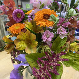 Local Summer