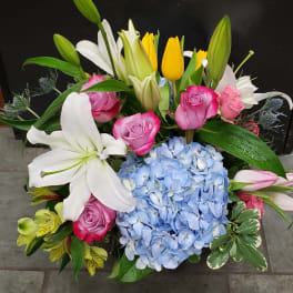Lush arrangement with white lilies, pink roses, yellow tulips, and blue hydrangea in a low container