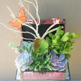 Succulent arrangement in a decorative box with butterfly and bird accents