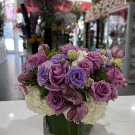 Purple roses and hydrangeas arranged in a square glass vase