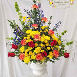 Celebration Tribute TMF-762