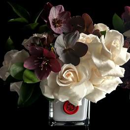 White roses and dark burgundy flowers arranged in a clear square vase