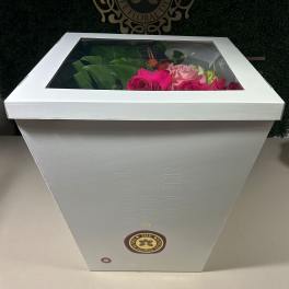 Handtied Box