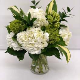 White hydrangea bouquet with green blooms in a clear glass vase