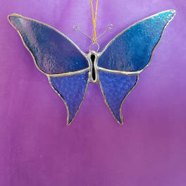 Blue Butterfly