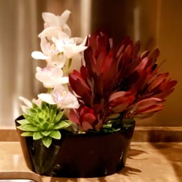 White orchids and red foliage in a black bowl with a green succulent.