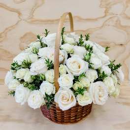 Classic White