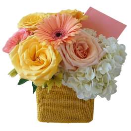 Collingswood Brighten Your Day Flowers