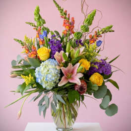 Delightful Spring