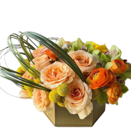 Citrus Bloom Luxe