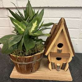 Potted green houseplant in a rustic wooden basket beside a small wooden birdhouse