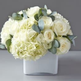White roses and hydrangeas in a white vase
