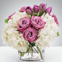 Pink roses and purple tulips arranged with white hydrangeas in a clear glass vase