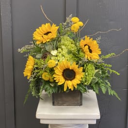 Sunflower arrangement in a wooden box with green accents