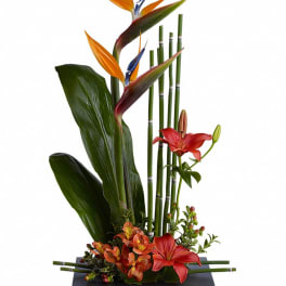Tropical floral arrangement with orange bird-of-paradise and red lilies in a black vase