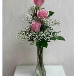 Pink roses arranged in a tall glass vase with white filler flowers