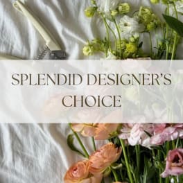 Pastel flowers arranged beside the words "Splendid Designer's Choice"
