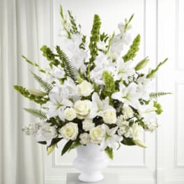 The Morning Stars Arrangement
