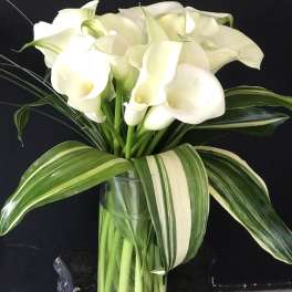 White calla lilies in a clear glass vase with striped leaves