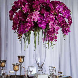 Tall arrangement of purple orchids in a clear glass vase