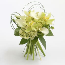 Bouquet of pale green orchids and hydrangeas with looping grass accents