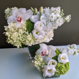 Hamptons green and white designer duo
