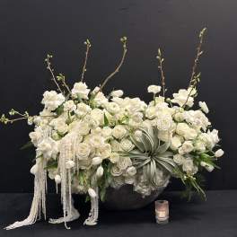 White Elegance