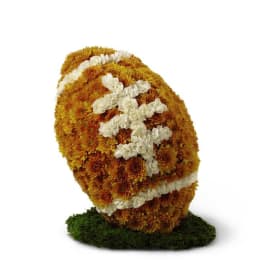 The FTD American Football Tribute