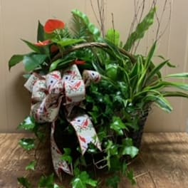 Large Garden Basket