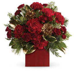 Laughter and Cheer by Teleflora