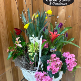 Blooming Spring Garden
