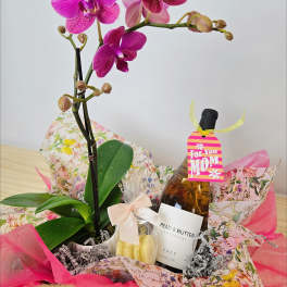 Pink orchid plant in a gift basket with a bottle and wrapped treats