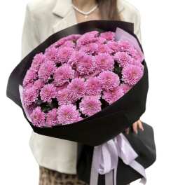 Delicate pink chrysanthemums in black packaging.