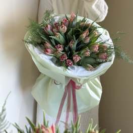 Red delicate tulips
