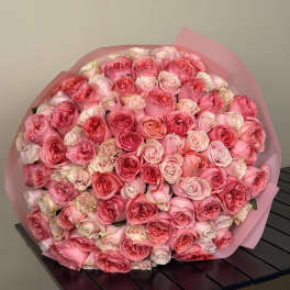 Tenderness That Speaks Without Words
