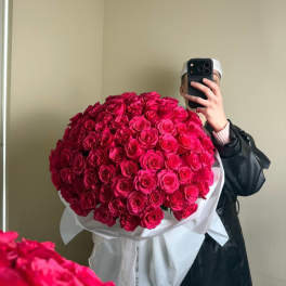 Depth of Passion: 100 Dark Pink Roses