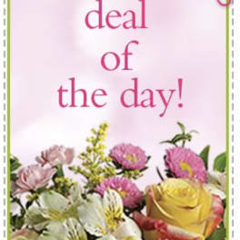 Pink greeting card with flowers and "deal of the day!" text