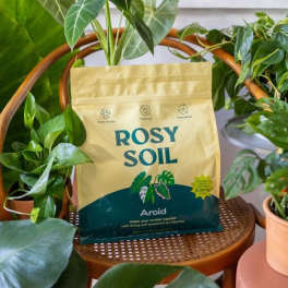 Bag of aroid potting soil surrounded by potted houseplants
