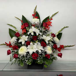 Red and White Elegance
