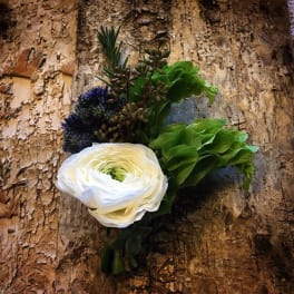 White ranunculus bouquet with green succulents and dark blue accents