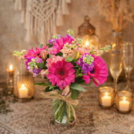 gerberas y stock